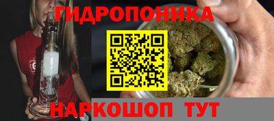 ПСИЛОЦИБИНОВЫЕ ГРИБЫ Коммунар