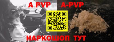 герыч Кингисепп