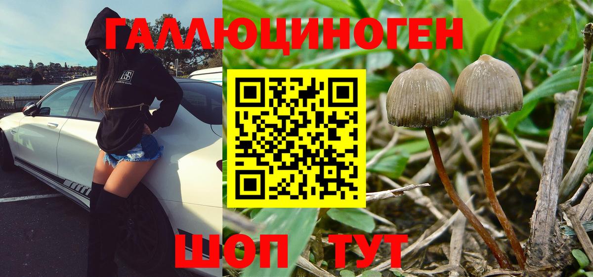 Псилоцибиновые грибы прущие грибы Канаш