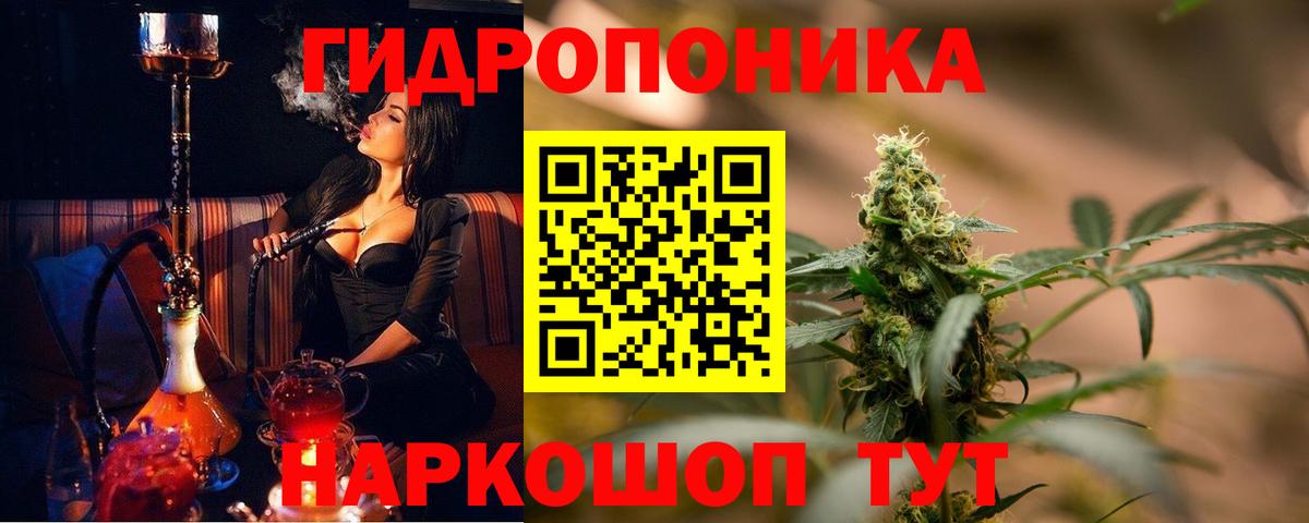 Бошки марихуана Bruce Banner  Бошки марихуана марихуана  Канаш  Конопля тримм  Вход с VPN 